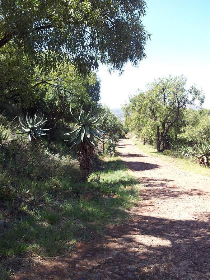 הארטביספורט Benlize Lodge מראה חיצוני תמונה